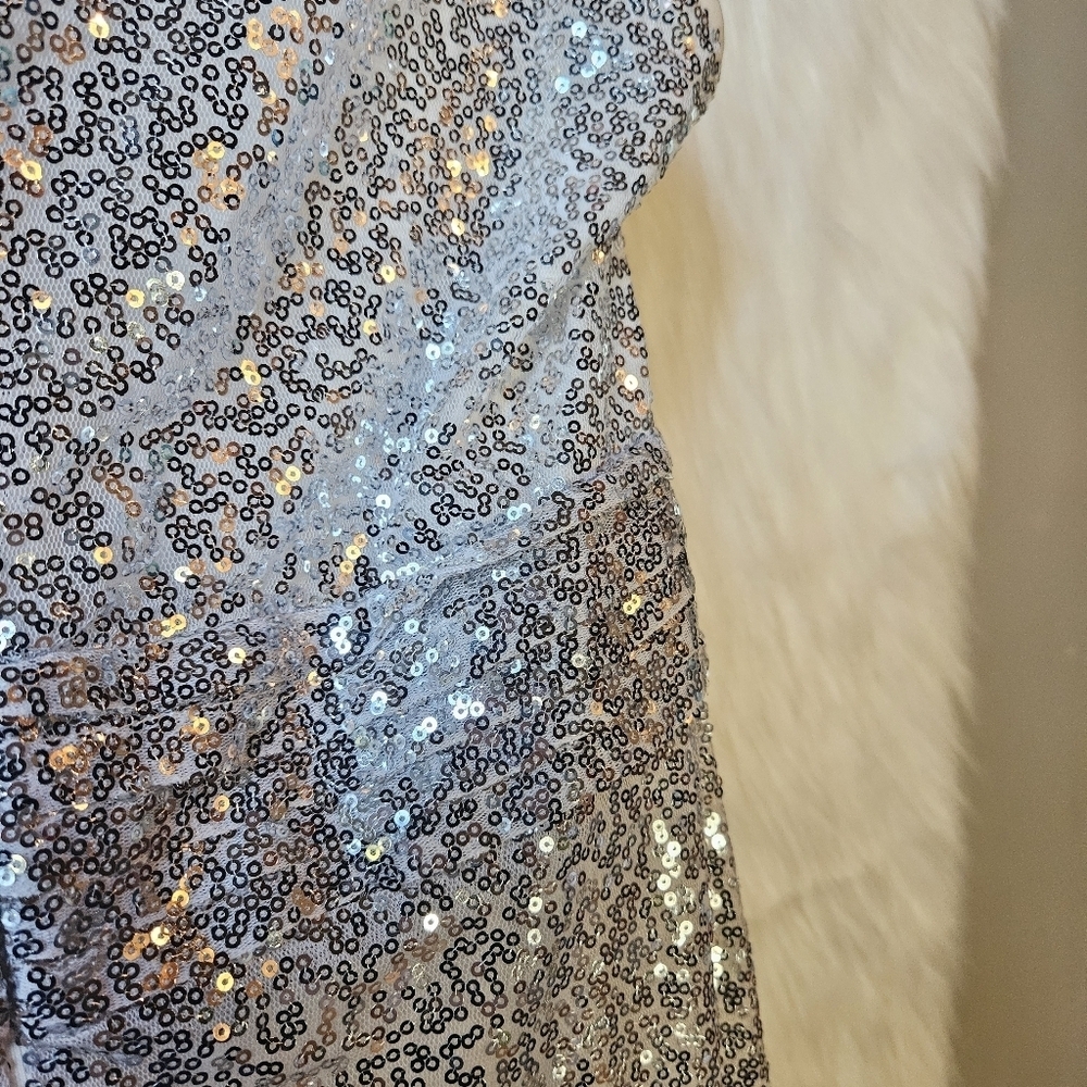 Kate Kasin Silver Empire Sequin Maxi Dress - Picture 10 of 15